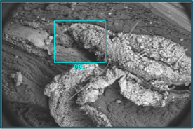 Депо «аллогенного  гидроксиапатита» в мышце. первые сутки введения. Сканирующая электронная микроскопия. Увеличение: 30